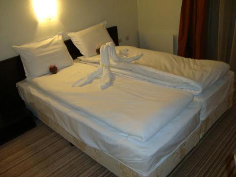 Spa Hotel Planinata รีบาริตซา ห้อง รูปภาพ
